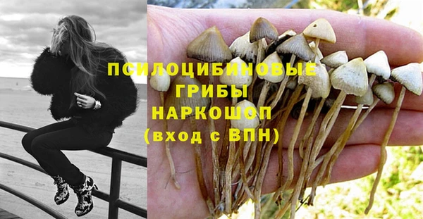 трава Верея