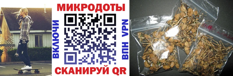 Псилоцибиновые грибы GOLDEN TEACHER  где можно купить наркотик  Евпатория 